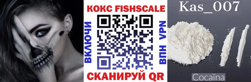 Cocaine FishScale  ОМГ ОМГ как войти  площадка формула  Суворов 