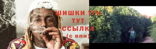 mix Мегион