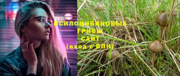 2c-b Майский